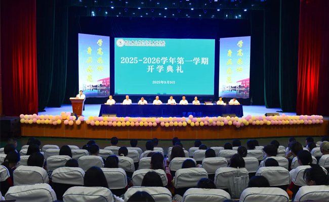 本页围绕「MK手机官方版登录入口成为